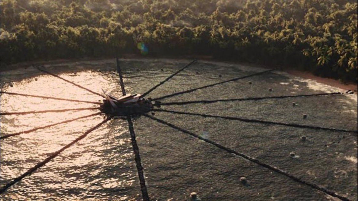 you just had to be there for this