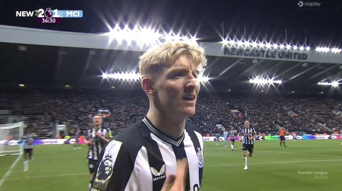 ToonArmy tweet media