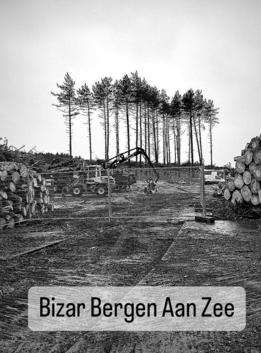 LavieJanRoos's tweet photo. In mijn dorp 17.000 bomen gekapt vanwege stikstof. Knettergek zijn ze. https://t.co/ePVR51Yi5R