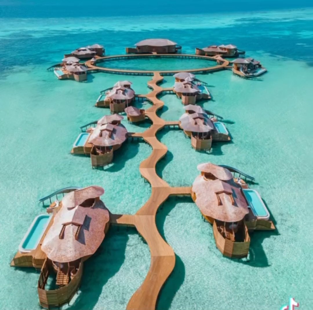 Theibrah_'s tweet photo. #maldives beach is an endless source of hope an inspiration for all of us. #Cirrusholidays #divergent #leisureholidays #resorts #localisland https://t.co/gPzoOOXKJhโฆ#cirrusholidays https://t.co/ujzBp5R0eP