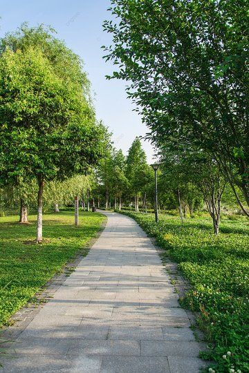 sobhglove66's tweet photo. Trading office walls for nature's grandeur today. 🌳🌞 Escaping the hustle to find inspiration in the peaceful melodies of birds and the gentle sway of trees. Here's to a work holiday in the heart of tranquility! #ParkEscape #WorkHoliday 🍃✨#SaturdayMood #SaturdayMorning https://t.co/9M5wCJYPYX