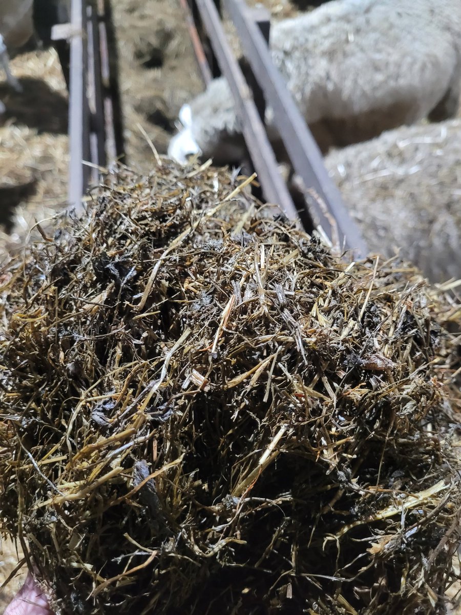 Mathew Roberts tweet media