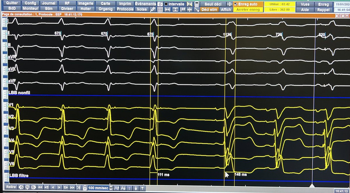Andreas Müssigbrodt tweet media