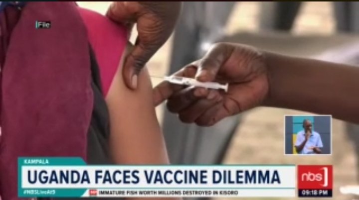 NBS Television tweet media