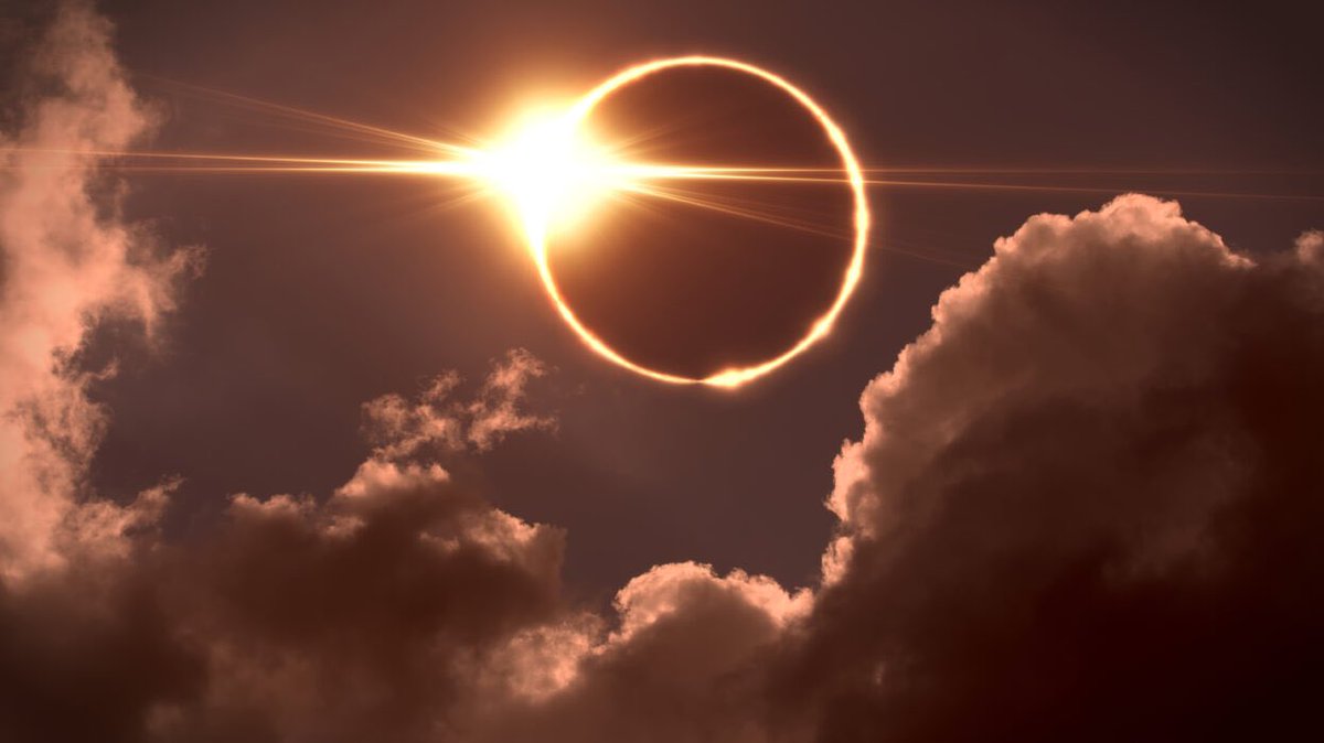simpleorganix's tweet photo. Men are activated by the Sun.

WillPower
Strength
Motivation
Action

All of the things you want him to be in daylight.

Women are activated by the Moon.

Creativity
Passion
Desire
Pleasure

All of the things you want her to be in Moonlight. https://t.co/vcZLy4kL2g