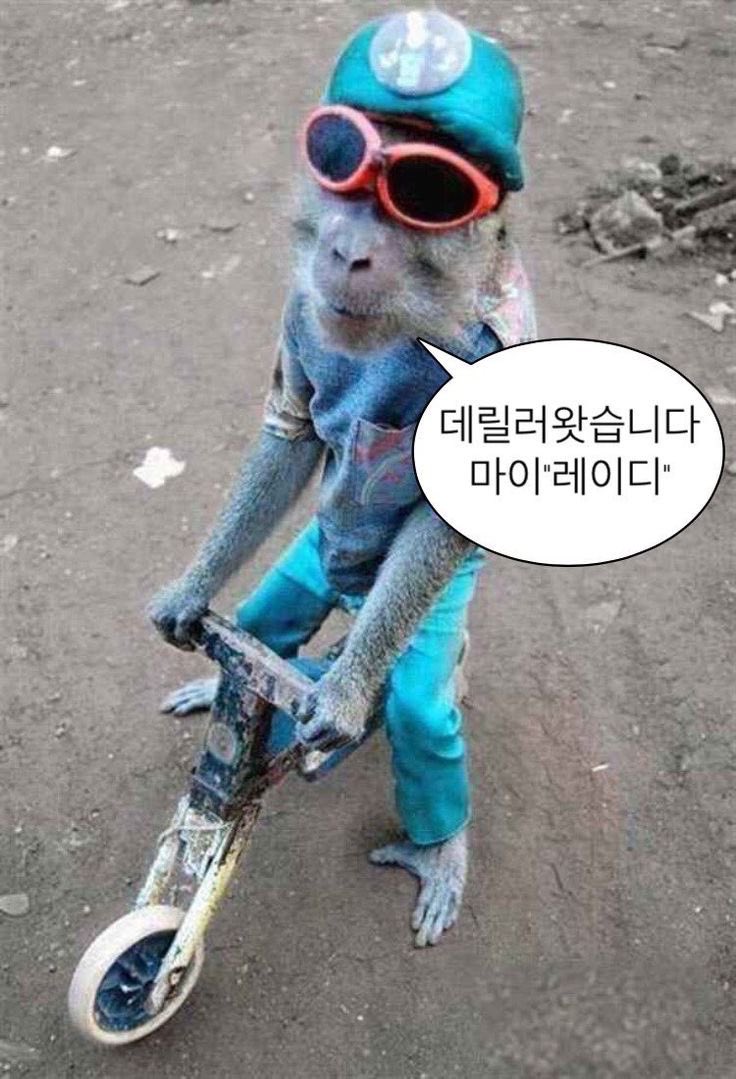 그.. 안녕하십니까 새해 복 많이 받으세여,,헤헿
저 계정 옮겼습니다!!!!!!!!!!!!!!!!!!!!!!! 여러분 제 새 계정 많이 놀러와주세여,,🔥
여기 썼던 거 옮겨서 쓸 거예요
근데 이미 한 개 썼거등요 후회물로다가,,, 많관부,,💝💘💕