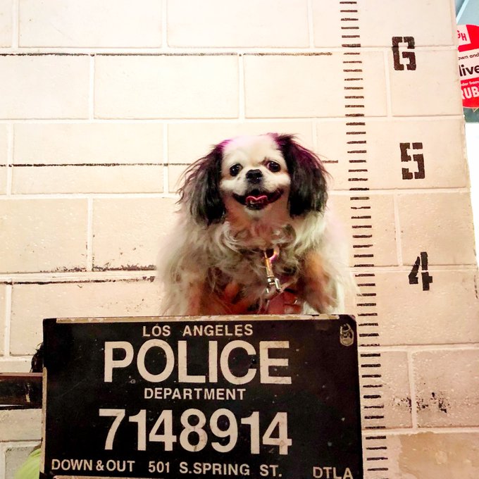 Throwback to when Miss Moo and I were wrongfully convicted of killing our wife. It was the 1 armed man