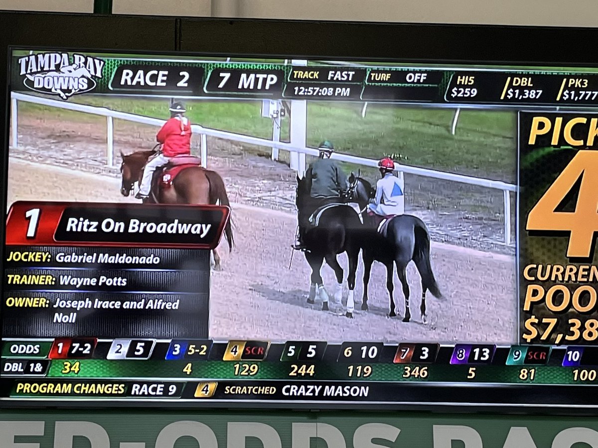 A good day for the team down @TampaBayDownsFL! Bold Medication finished third in the opener with @itz_lil_g up and Ritz on Broadway takes second in the second with Gabriel Maldonado riding. Great job by our trainer @WPottsRacing, and team getting them ready.🏇🏇