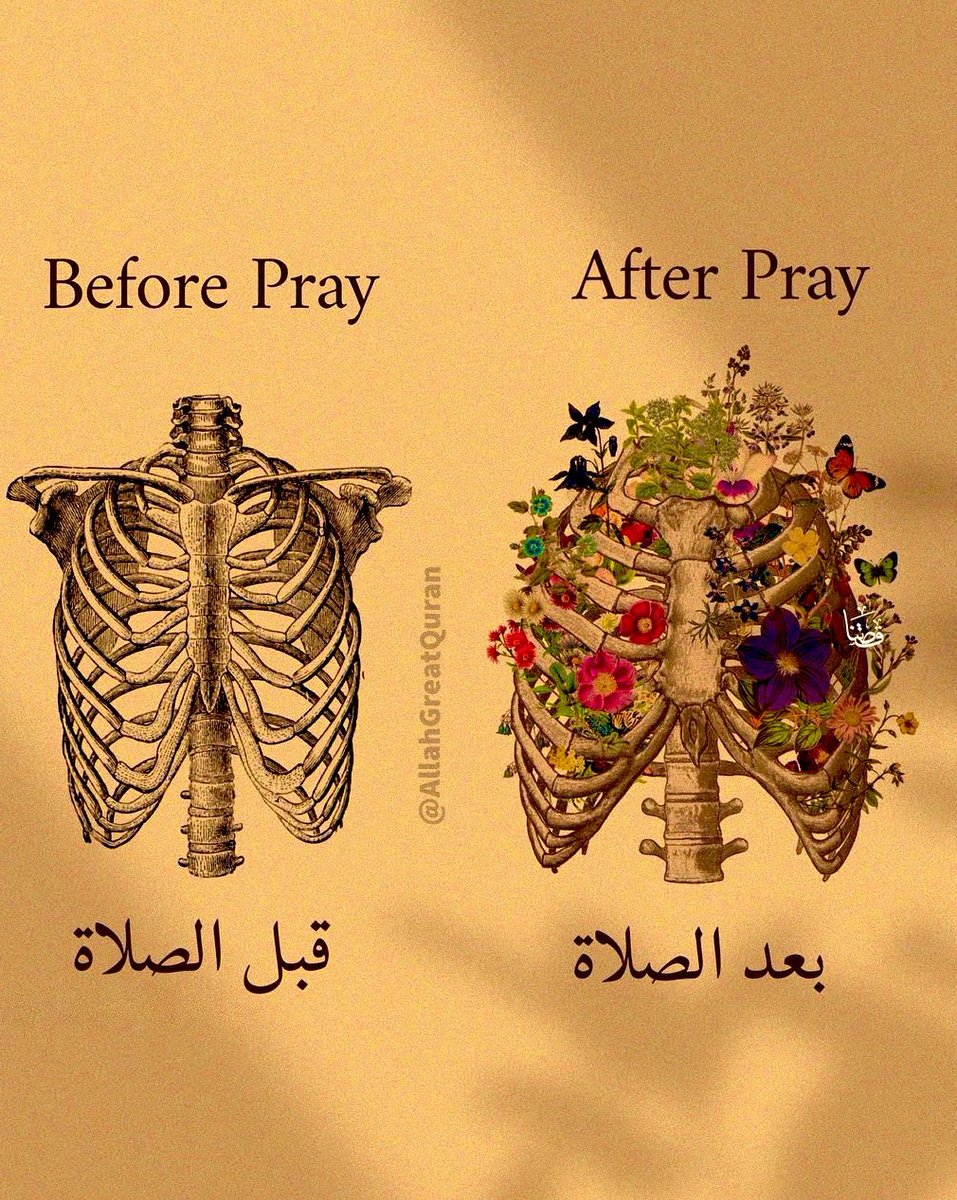 AllahGreatQuran's tweet photo. Prayer is healing ❤️‍🩹 https://t.co/o7qdP0G6Mt