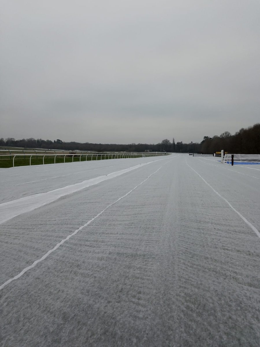 42 people and 9.5 hours later, and the whole track is fleeced ahead of the Winter Million Festival next weekend 
<a href="/LingfieldPark/">Lingfield Park</a> <a href="/arenaracingco/">ARC</a>