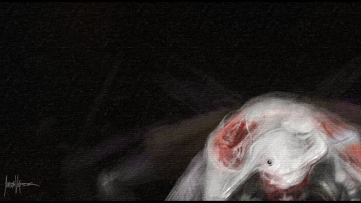 Aniballopez01's tweet photo. Personajes/Criaturas (Serie) 0002  
#characters #artconceptual #conceptartist #enviroment #photoschop #zbrush #aniballopez #anibal #landscape #thumbnails #smood #environmentdesign #digitalart #paint #photography #photoshop #pencil #artist #art #artgallery #landscapes #conceptart https://t.co/BF2NkMWisl