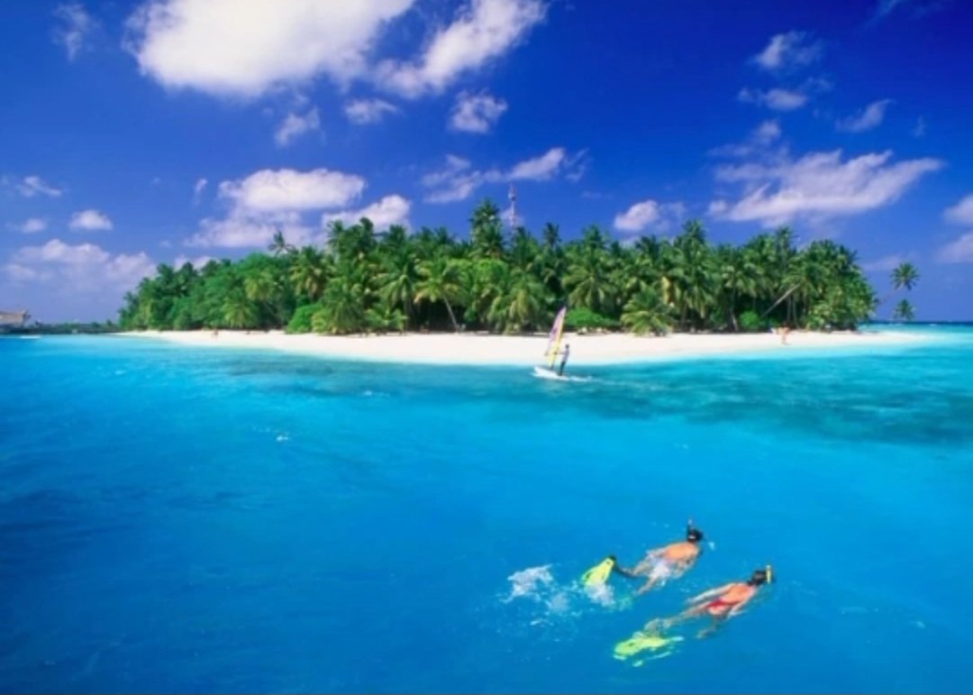 Theibrah_'s tweet photo. Only a sea lover's knows the feeling and the happiness of #swimming #diving #surfing #plusure #cirrusholidays https://t.co/mH4tFB2lCT