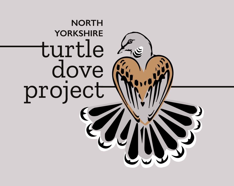 jennywrendraws's tweet image. Fab pm with @north_dove @Leica_UK learning more about conservation efforts to help these amazing birds. Huge thnx to the volunteers and the team for their amazing work. Chuffed to win the “pro” category of #doodleadove and meet the legend @IoloWilliams2
