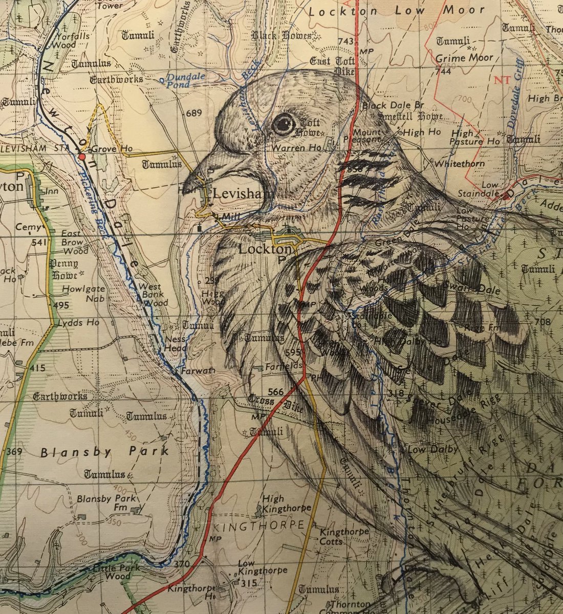 jennywrendraws's tweet image. Fab pm with @north_dove @Leica_UK learning more about conservation efforts to help these amazing birds. Huge thnx to the volunteers and the team for their amazing work. Chuffed to win the “pro” category of #doodleadove and meet the legend @IoloWilliams2