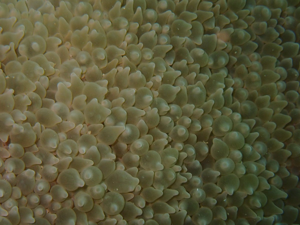 armsrestore tweet media