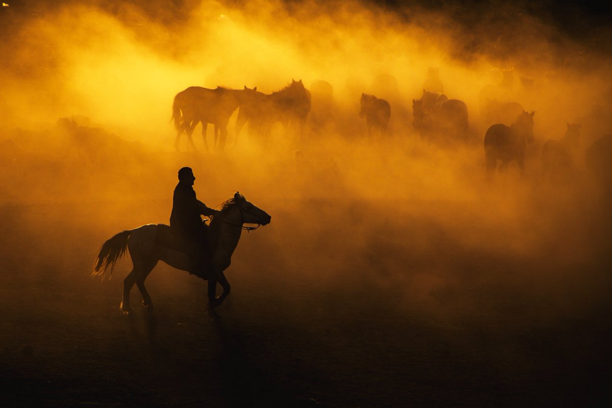 feyzullahtunc's tweet photo. Gn friends,
" Cowboy "
1/1 Edition
https://t.co/xzv75C45Yq #SolSaturday https://t.co/O9iYKHDuYn