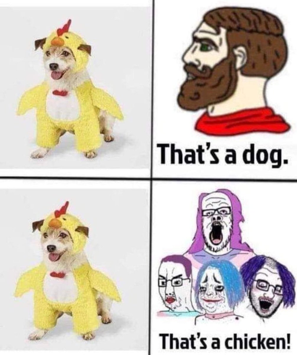 SWISSCORP CRYPTO PLC (@co_swi) / Posts / X