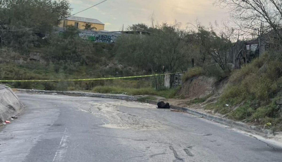 Halcon1072 tweet media