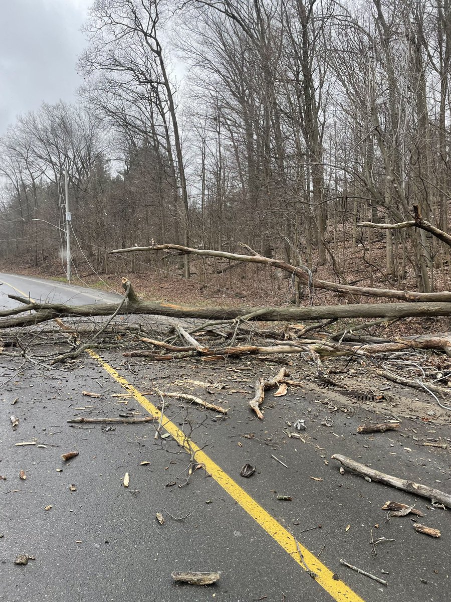 Grimsby Power tweet media