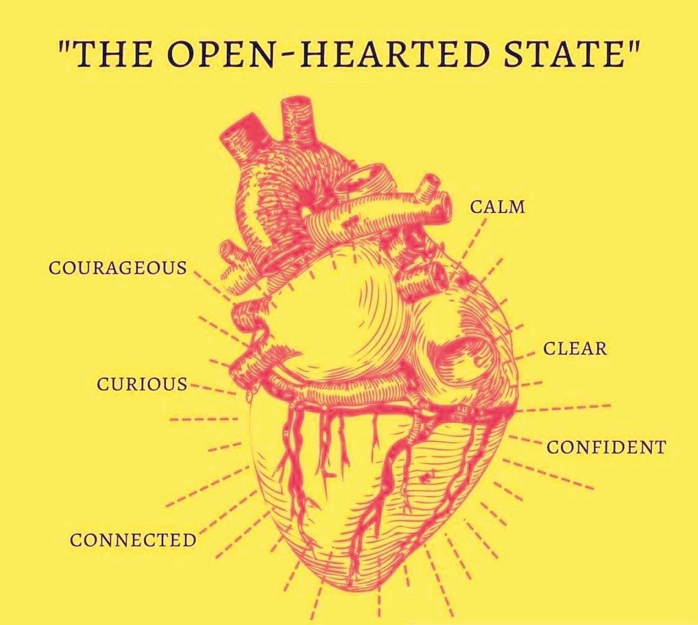HilaryJHendel's tweet image. Grow more openhearted! 
Work the Change Triangle! 
Heal from the wounds of life. 
Learn the tried and true process here:
amazon.com/gp/aw/d/039958…
#authentic #openhearted #connected