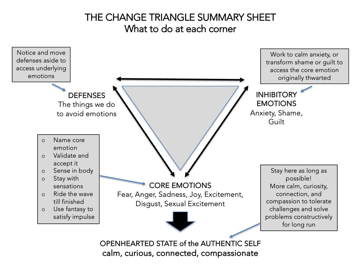 HilaryJHendel's tweet image. Grow more openhearted! 
Work the Change Triangle! 
Heal from the wounds of life. 
Learn the tried and true process here:
amazon.com/gp/aw/d/039958…
#authentic #openhearted #connected