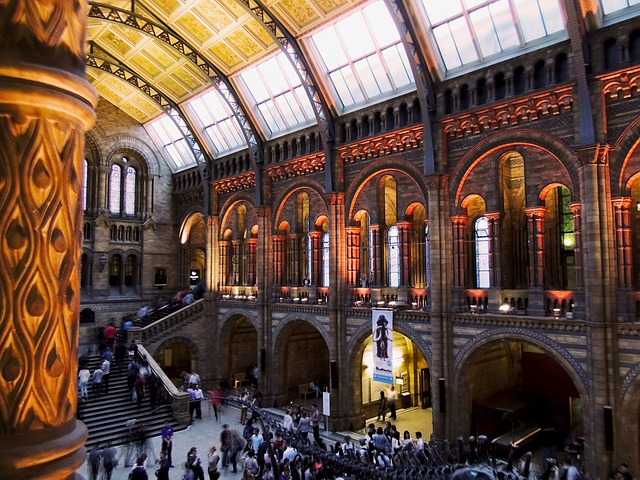 Photo By LauraTutu | Pixabay 
 #naturalhistorymuseum #london #architecture #naturalhistory #history #naturalhistorymuseums #museums #naturalinterior #britishhistory #vintagelondon #londonhistory #natureuk #victorianhistory #architecture #britishmuseums