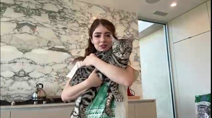 Best part of @ChrissyCostanza  today is seeing the cat!  #cats #twitchstreamer #catstream https://t.<a class="tags" target="_blank" title="On Twitter" href="/?out=eyJ0eXAiOiJKV1QiLCJhbGciOiJIUzUxMiJ9.eyJpYXQiOjE3MjY1MDQ1MjcsImlzcyI6InR3cG9ybnN0YXJzLmNvbSIsIm5iZiI6MTcyNjUwNDUyNywiZXhwIjoxNzU4MDQwNTI3LCJyZWRpcmVjdF91cmwiOiJodHRwczovL3R3aXR0ZXIuY29tL0Nocmlzc3lDb3N0YW56YSJ9.1mMprA085o-kGzRJljSId-NFpxp0DX8Sr7zei6YeJFxNcmyJTwum5m3LyO0awmLGDcVSq5feeunw598p-SUaBA">@ChrissyCostanza</a><a href="/tag/cats"class="tags"><span>#cats</span></a><a href="/tag/twitchstreamer"class="tags"><span>#twitchstreamer</span></a><a href="/tag/catstream"class="tags"><span>#catstream</span></a>