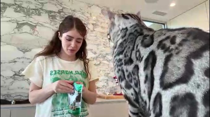 Best part of @ChrissyCostanza  today is seeing the cat!  #cats #twitchstreamer #catstream https://t.<a class="tags" target="_blank" title="On Twitter" href="/?out=eyJ0eXAiOiJKV1QiLCJhbGciOiJIUzUxMiJ9.eyJpYXQiOjE3MjY1MDQ1MjcsImlzcyI6InR3cG9ybnN0YXJzLmNvbSIsIm5iZiI6MTcyNjUwNDUyNywiZXhwIjoxNzU4MDQwNTI3LCJyZWRpcmVjdF91cmwiOiJodHRwczovL3R3aXR0ZXIuY29tL0Nocmlzc3lDb3N0YW56YSJ9.1mMprA085o-kGzRJljSId-NFpxp0DX8Sr7zei6YeJFxNcmyJTwum5m3LyO0awmLGDcVSq5feeunw598p-SUaBA">@ChrissyCostanza</a><a href="/tag/cats"class="tags"><span>#cats</span></a><a href="/tag/twitchstreamer"class="tags"><span>#twitchstreamer</span></a><a href="/tag/catstream"class="tags"><span>#catstream</span></a>