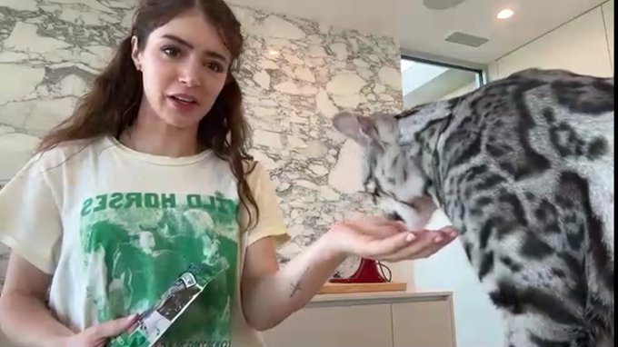 Best part of @ChrissyCostanza  today is seeing the cat!  #cats #twitchstreamer #catstream https://t.<a class="tags" target="_blank" title="On Twitter" href="/?out=eyJ0eXAiOiJKV1QiLCJhbGciOiJIUzUxMiJ9.eyJpYXQiOjE3MjY1MDQ1MjcsImlzcyI6InR3cG9ybnN0YXJzLmNvbSIsIm5iZiI6MTcyNjUwNDUyNywiZXhwIjoxNzU4MDQwNTI3LCJyZWRpcmVjdF91cmwiOiJodHRwczovL3R3aXR0ZXIuY29tL0Nocmlzc3lDb3N0YW56YSJ9.1mMprA085o-kGzRJljSId-NFpxp0DX8Sr7zei6YeJFxNcmyJTwum5m3LyO0awmLGDcVSq5feeunw598p-SUaBA">@ChrissyCostanza</a><a href="/tag/cats"class="tags"><span>#cats</span></a><a href="/tag/twitchstreamer"class="tags"><span>#twitchstreamer</span></a><a href="/tag/catstream"class="tags"><span>#catstream</span></a>