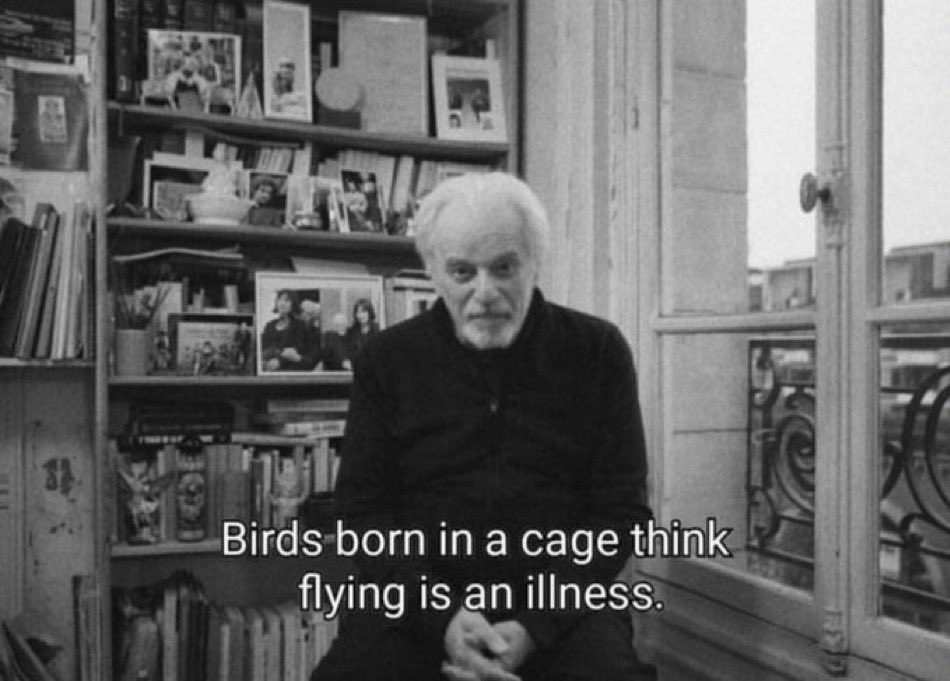Jodorowsky ✨