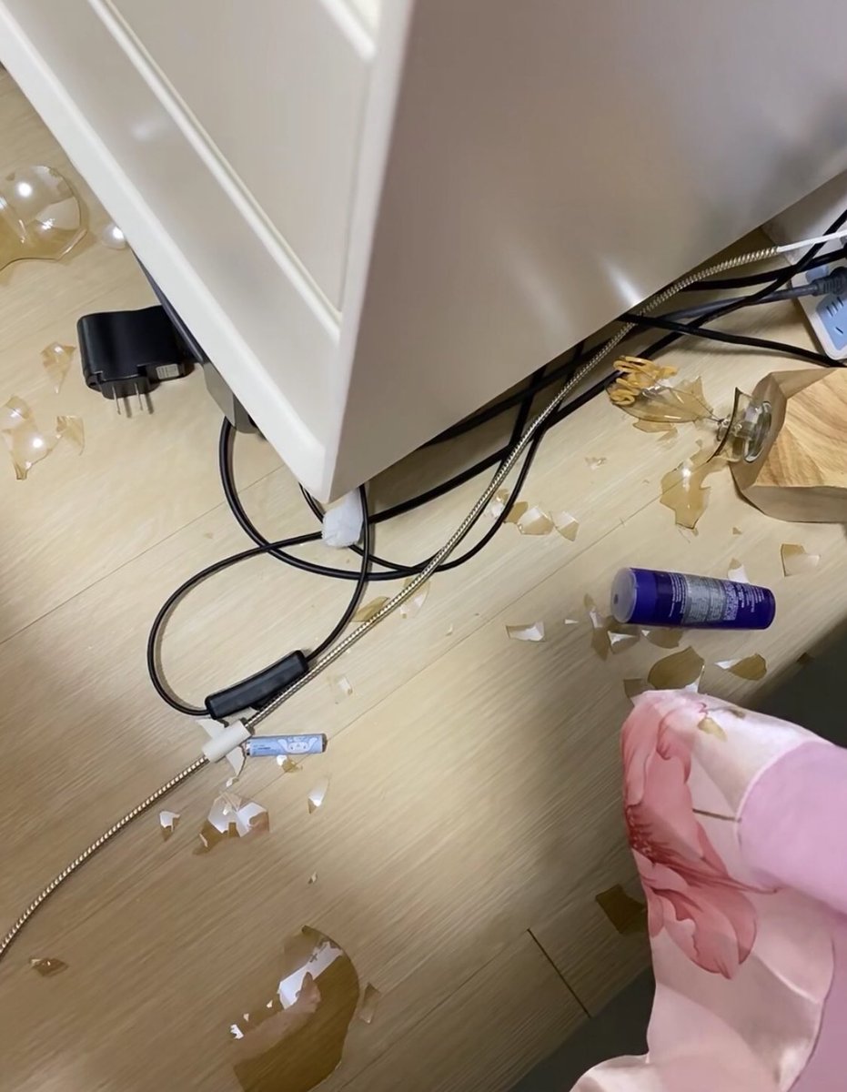 misswillny's tweet photo. 该死的臭喵……大半夜不睡觉乱跑什么😡 https://t.co/eVmlbjaqIp