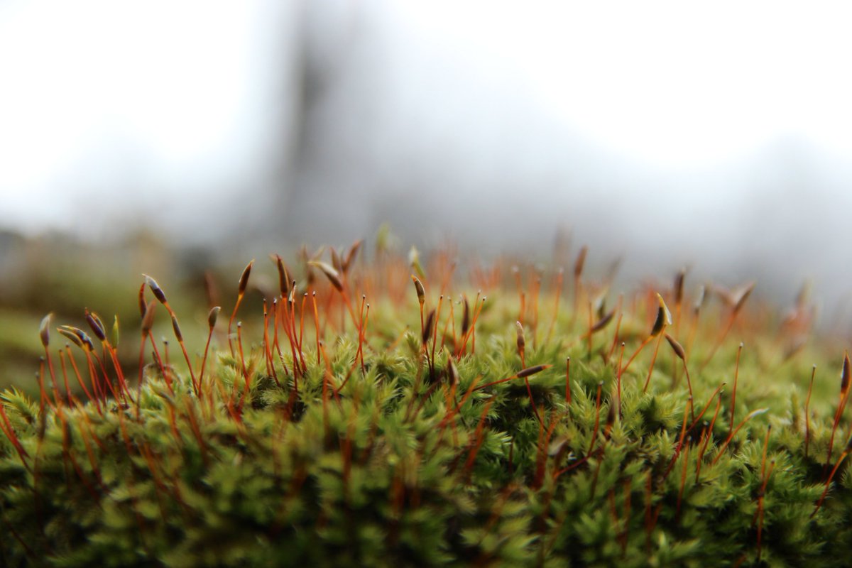A veces, sales a dar un paseo y el tiempo, por un rato, se detiene