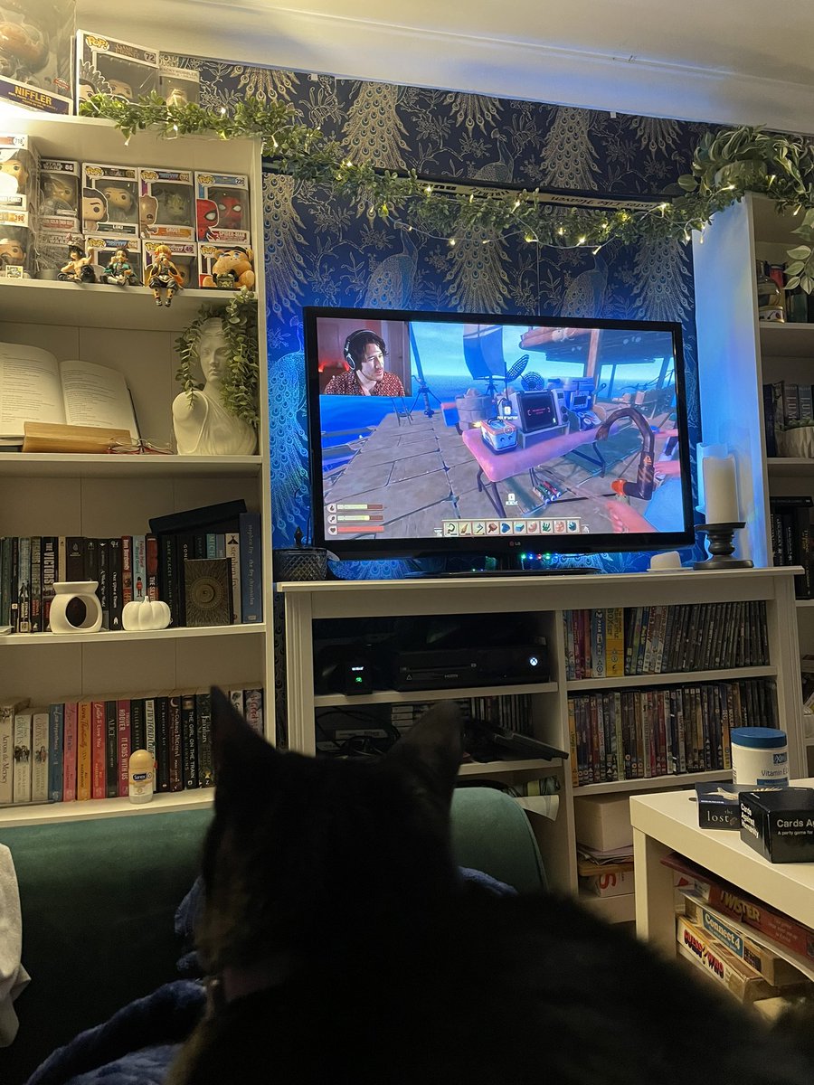 HannahrButler94's tweet photo. Cosy nights. 

PS: yes my cat actively enjoys watching @markiplier https://t.co/ESN6QyY3TQ