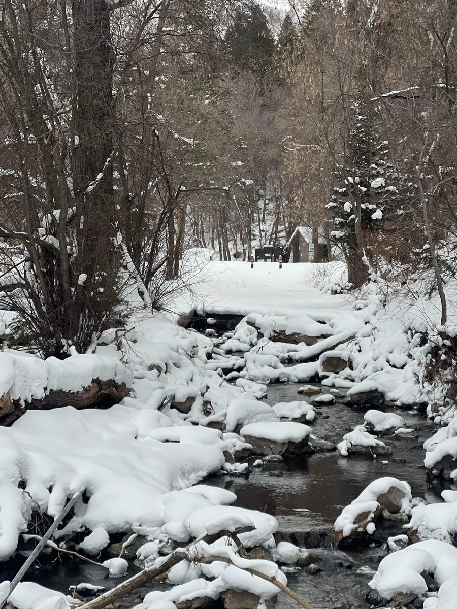 CryptoBaby__'s tweet photo. Touching snowβοΈ Enjoy the weekend everyoneπ
#morningwalk #CYOC https://t.co/rvfMdgs2r4
