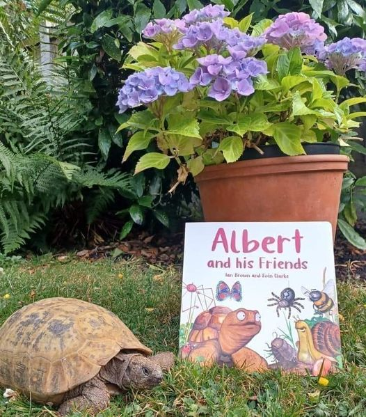 AlbertTortoise's tweet photo. Our #ALBERTthetortoise #BoardBook ALBERT and his Friends introduces #garden #animals, #friendship and our #favourite #tortoise. Aimed at 0-3 years with bright, colourful easy-wipe pages. https://t.co/sGYhBlFUhP
#bookseries #turtle #illustration #tortoisebook #turtlebook #books https://t.co/71sZkAeiIJ