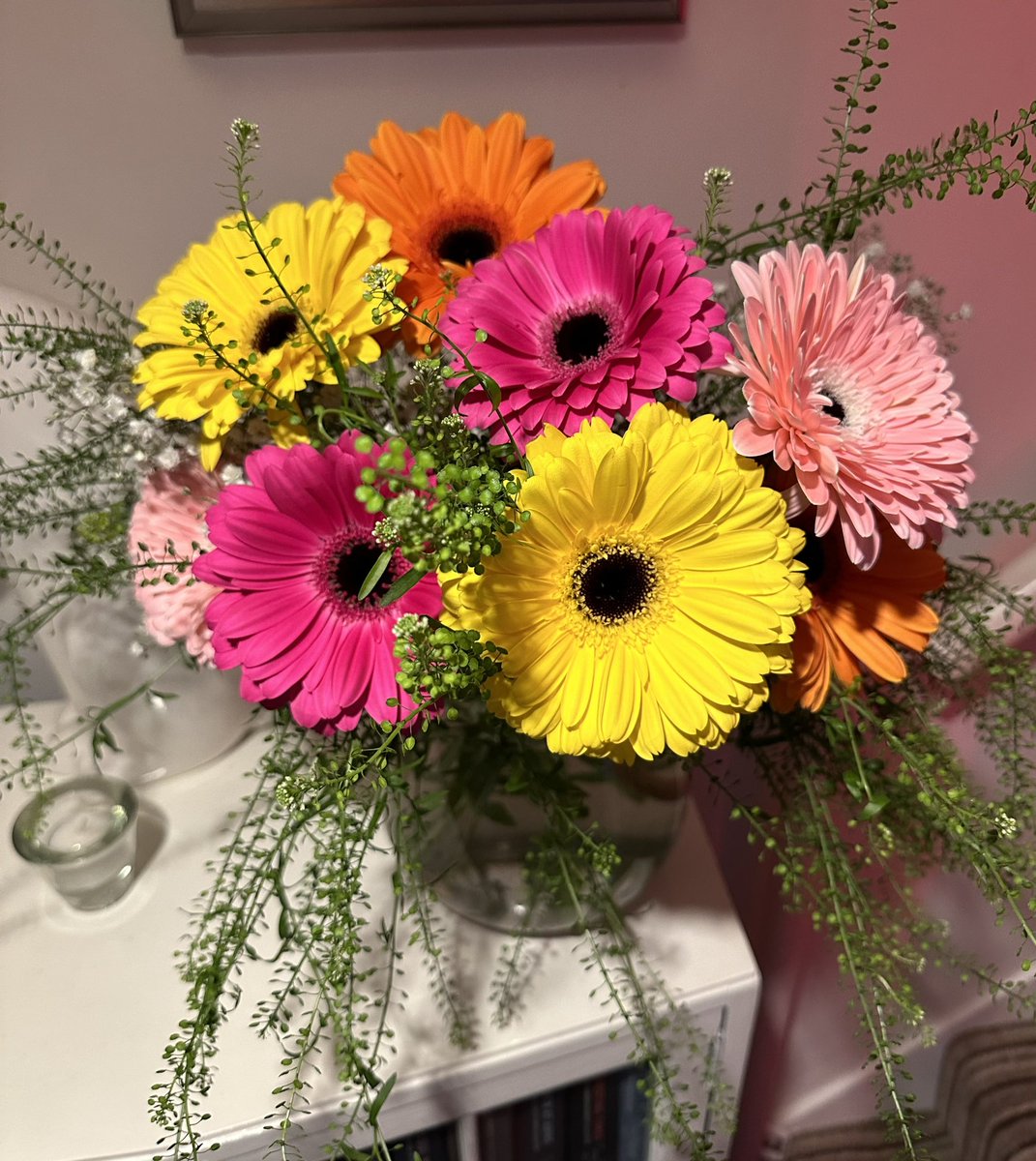 Jackie Brown tweet media