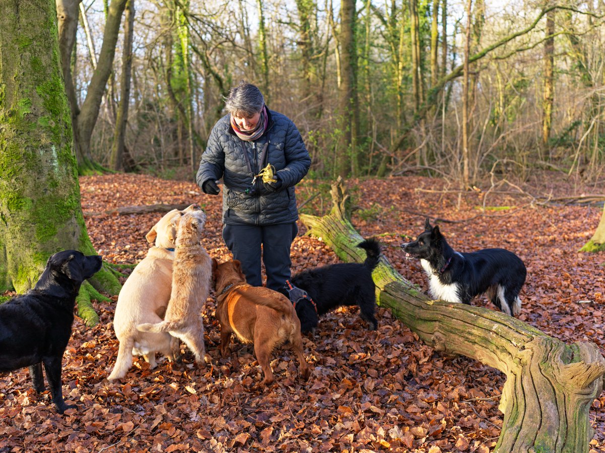 pea34101992's tweet photo. taking a time-out 
#candidshot #Colors #woodland https://t.co/WPy3f1f25U