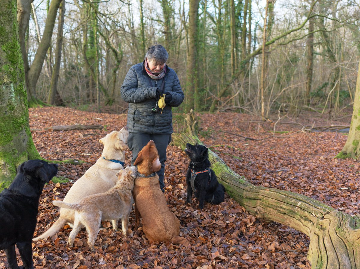 pea34101992's tweet photo. taking a time-out 
#candidshot #Colors #woodland https://t.co/WPy3f1f25U