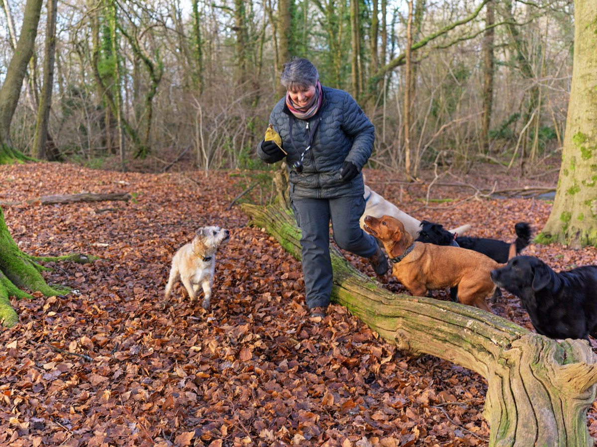 pea34101992's tweet photo. taking a time-out 
#candidshot #Colors #woodland https://t.co/WPy3f1f25U