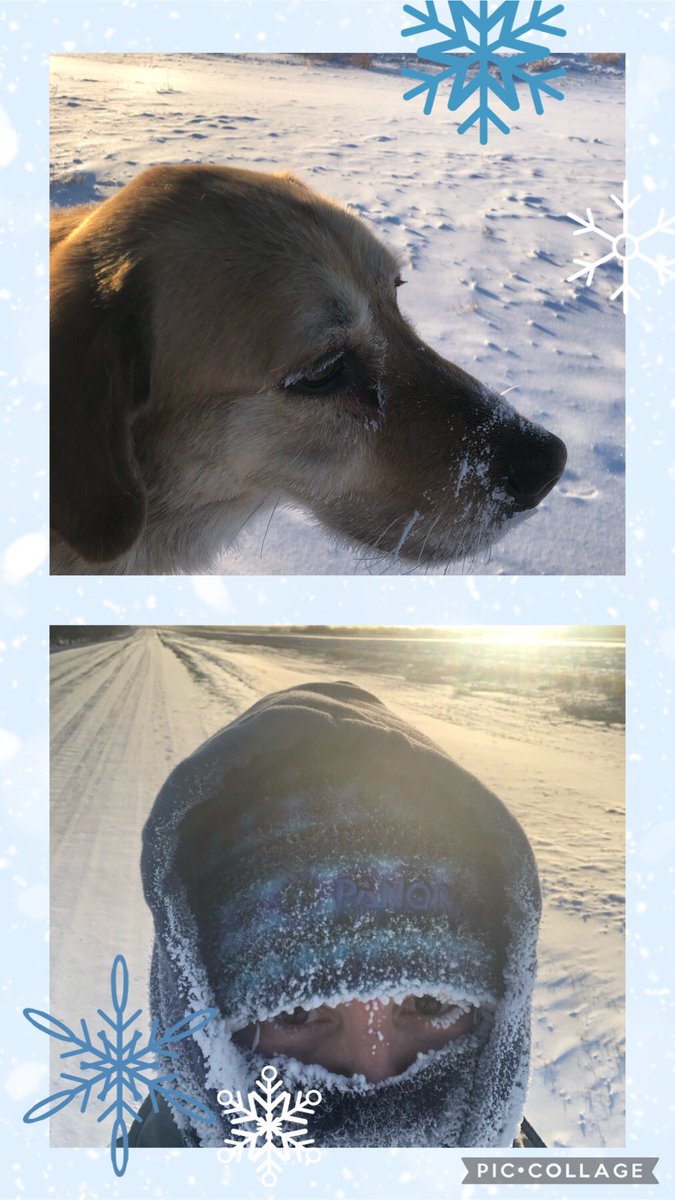 OlsonKerry96's tweet photo. #nwsdfit challenge started this week. Love my doggie Rex and the inspiration he gives me to be active ever day (when I’m home in the light) and take him for our 4K walk. Here are recap of this week https://t.co/pd0JBuJLLs