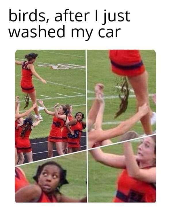 Sheriff Lebowski tweet media