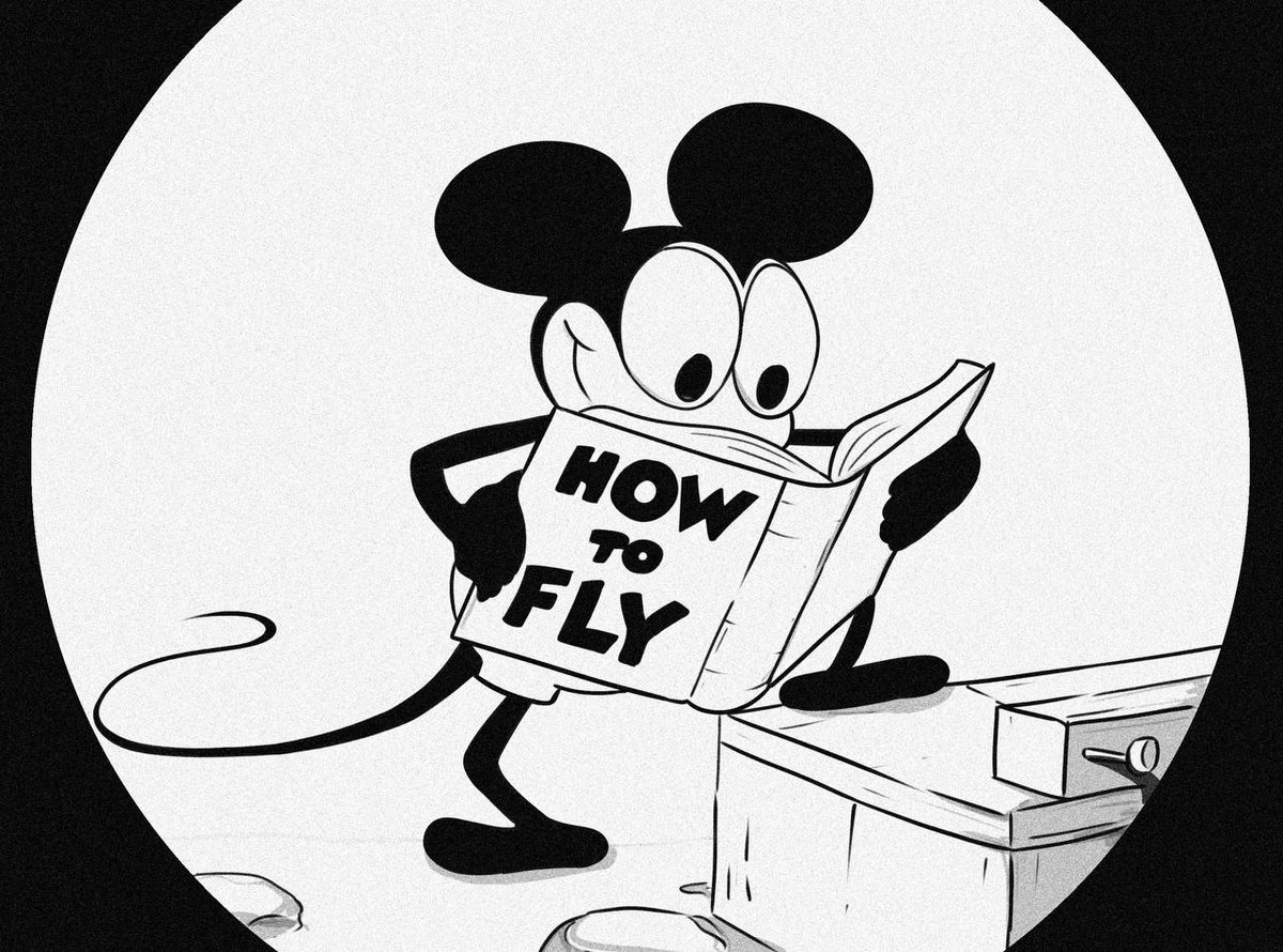 Plane Crazy - $MIKI tweet media