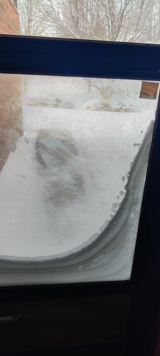 ALZustra's tweet photo. #SaturdayVibes #snowstorm #Omaha #nebraska Stuck at home where it is safer. Glad I took a 4 day weekend off... but doesn't help that I'm #sick too... https://t.co/WQiVWCFC1K