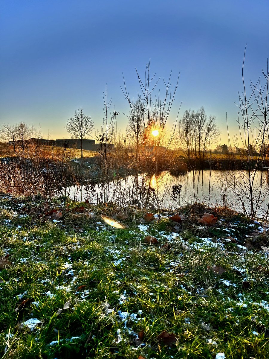 ctal93's tweet photo. Vroege ochtend door het #Geusseltpark in #Maastricht https://t.co/nvHWlYuChl