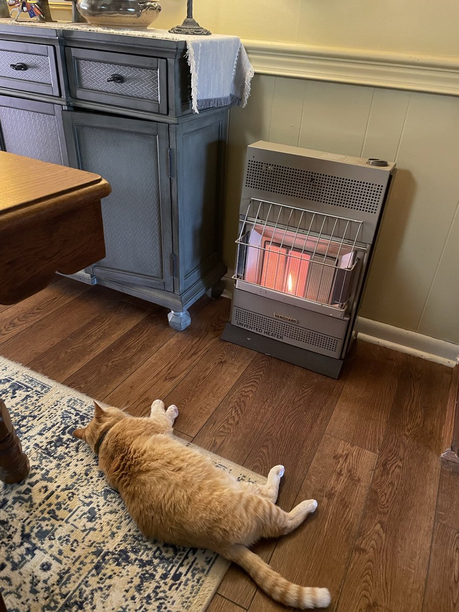 DupontPhillips's tweet photo. GingerCat keeping warm #Mississippi #Caturday https://t.co/5gSJ5imklr