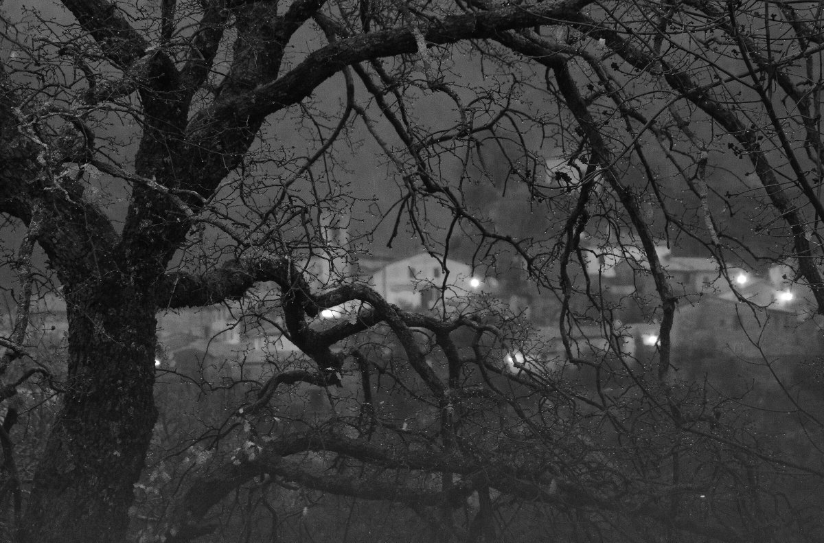 ѕραηηєяяαυρє tweet media