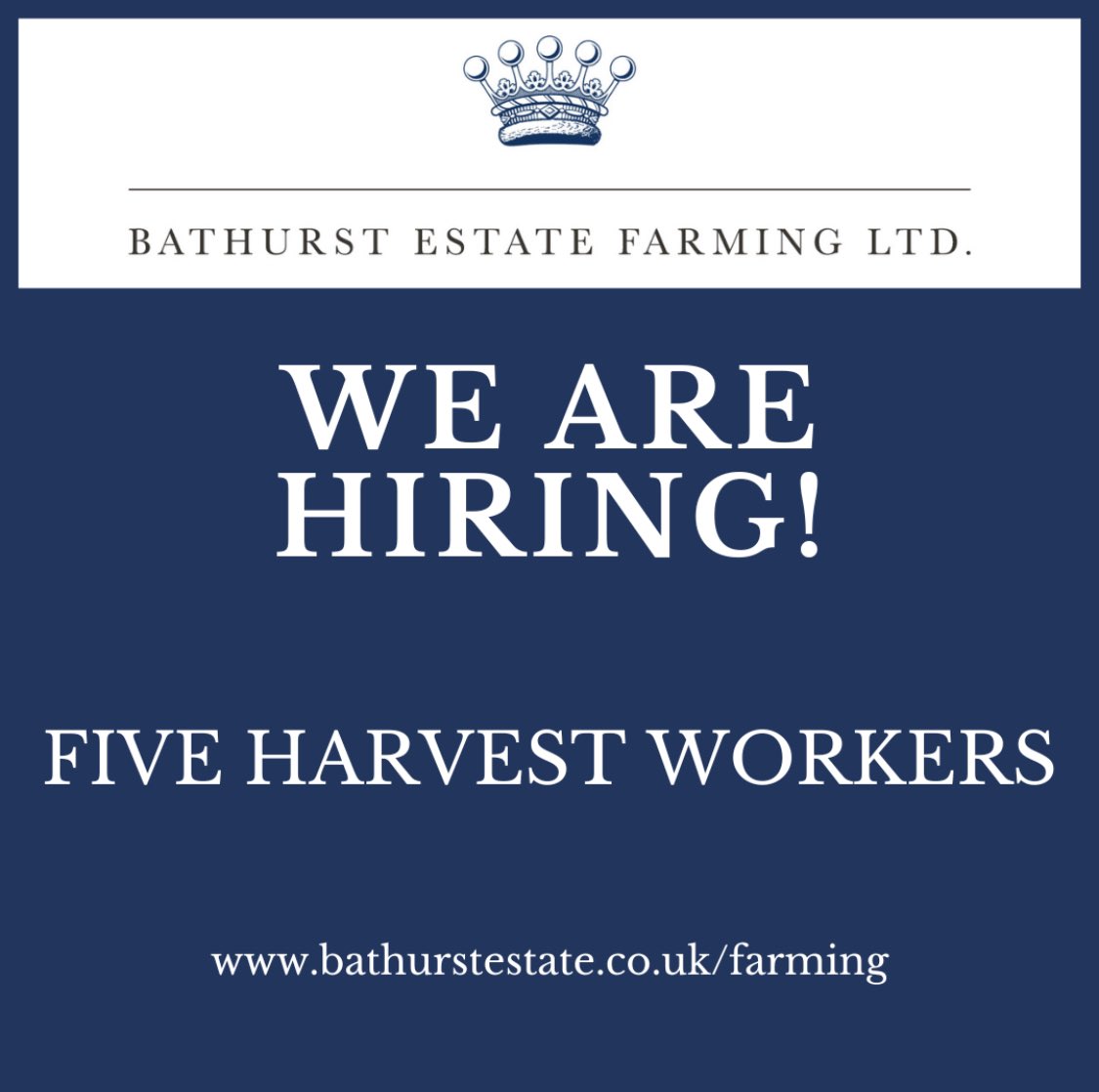 Max Mitchell tweet media