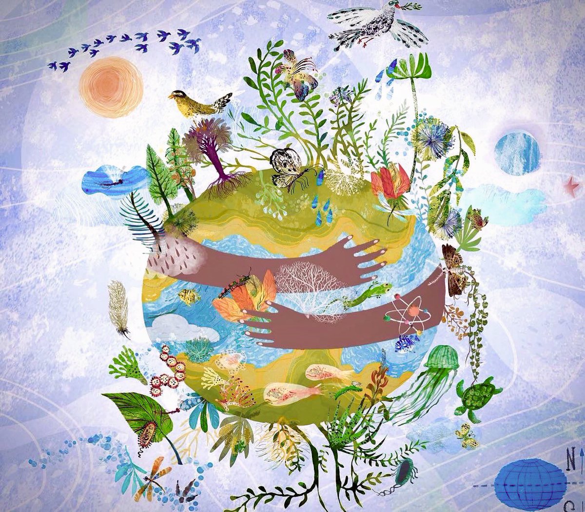 Yuval Zommer tweet media