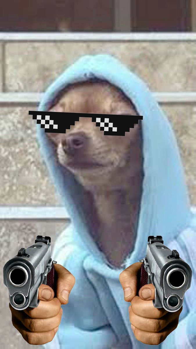 SUPDOGSOL's tweet photo. What's up dawg?

Pre-sale for $SUPDOG is live now!

https://t.co/QyxMcVLQtI

110 spots for 0.5 SOL each (max 2 per wallet). https://t.co/hmqZwUDFQb