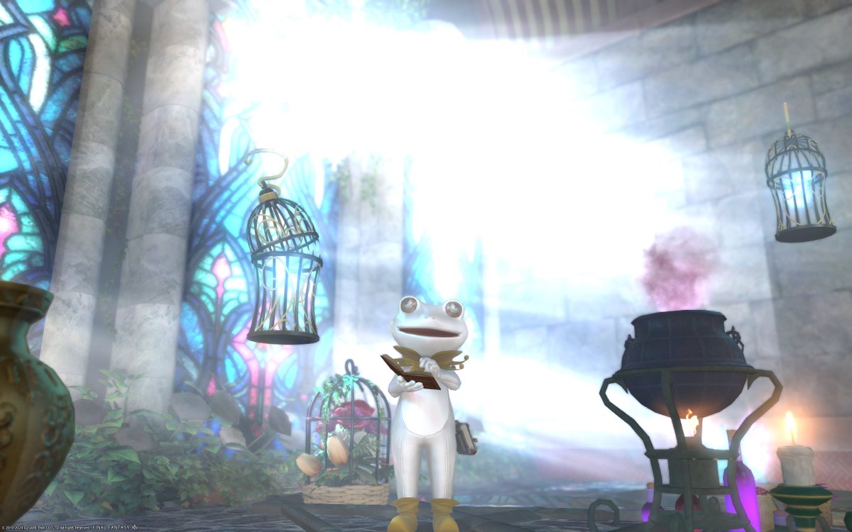 Ff14Les's tweet photo. #studio_EF #ケロ撮
癒しの🐸空間！
企画感謝🐸！ https://t.co/8SGcGuomx5